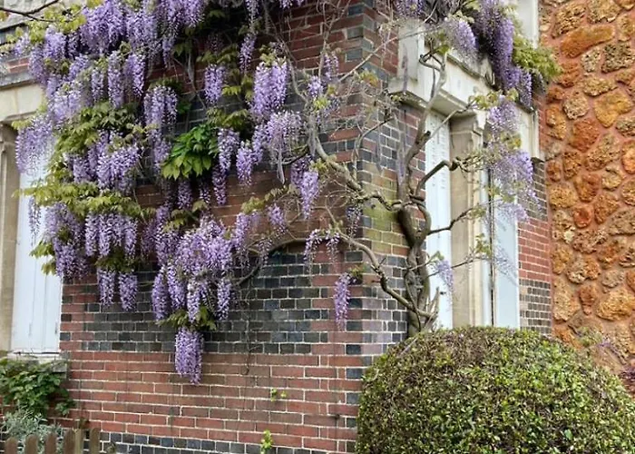 Le Lierre Et La Rose ベッド・アンド・ブレックファスト LʼAigle